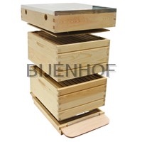 Double walled bee hives dadant 10